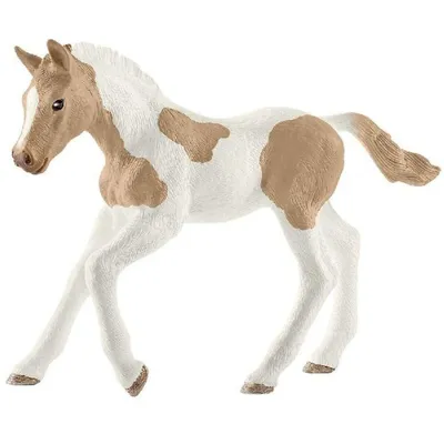 Horse Club: Paint Horse Foal