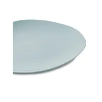 4-Piece Dinner Plate Set