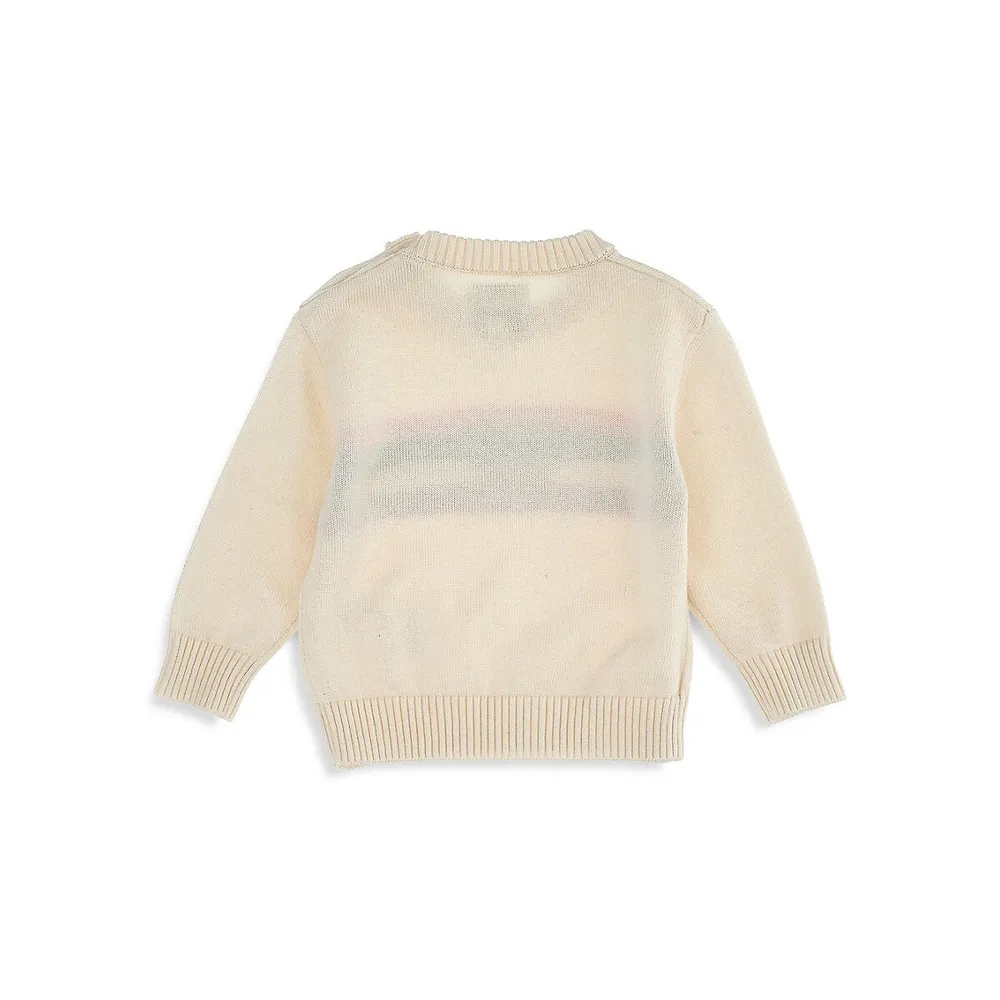 Baby Girl's Long Sleeve Sweater