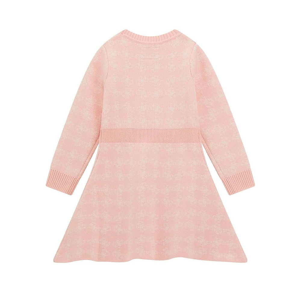 Little Girl's A-Line Sweater Dress