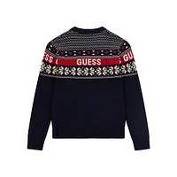 Boy's Organic Cotton Fair Isle Logo Sweater