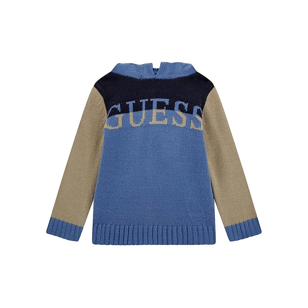 Little Boy's Long-Sleeve Hooded Colourblock Sweater