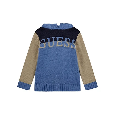 Little Boy's Long-Sleeve Hooded Colourblock Sweater