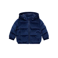 Baby Boy's Padded Velvet Hooded Jacket