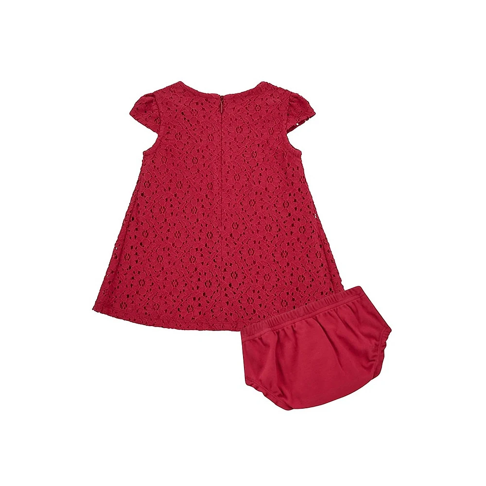 Baby Girl's Short-Sleeve Lace Dress & Bloomer Set