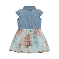 Little Girl's Mixed Media Denim & Chiffon Dress