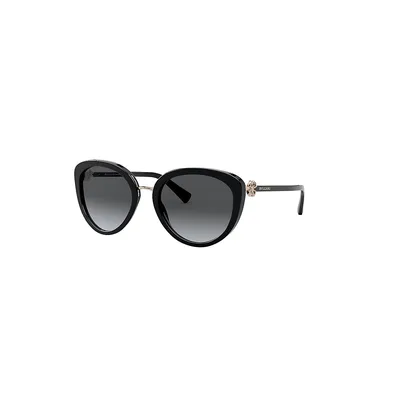 Bv8226b Polarized Sunglasses