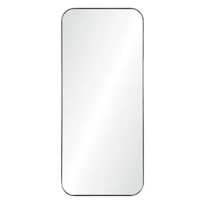 Delphinus Mirror