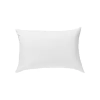 CoolMax Moisture Wicking Pillow