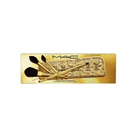 Golden Touch Mini Brush Kit