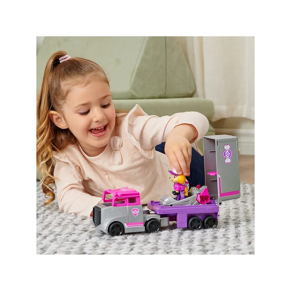 Paw Patrol Big Truck Pup's Skye Transforming Toy Trucks & Collectible  Action Figure