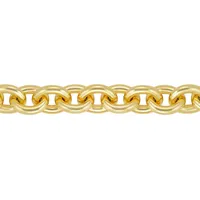 18kt Gold Plated Large Rolo Link Bracelet