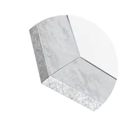 27x43'' Designer Rectangular Silver Mirror