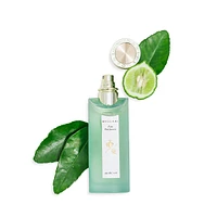 Eau Parfumeé Eau Thé Vert