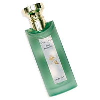 Eau Parfumeé Eau Thé Vert