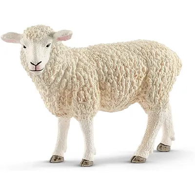 Farm World: Sheep