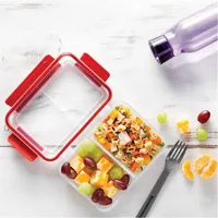 Set Of 2 Easylunch Divided Plastic Containers, 473ml Capacity
