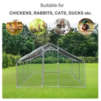 Chicken Coop Cage