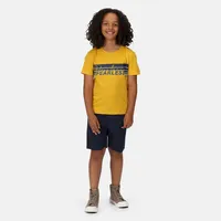 Childrens/kids Bosley V Stripe T-shirt