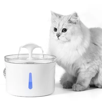 Pet Water Drinking Fountain, 2.5l Stainless Steel Automatic Cat Water Dispenser with 2 Replaceable Filters and 3 Pre-Filter Foam Cotton
