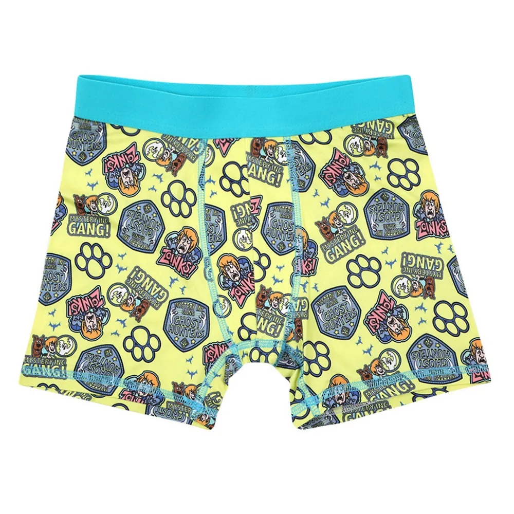 Bioworld Scooby Doo Shaggy Boys 5 Pack Boxers Set