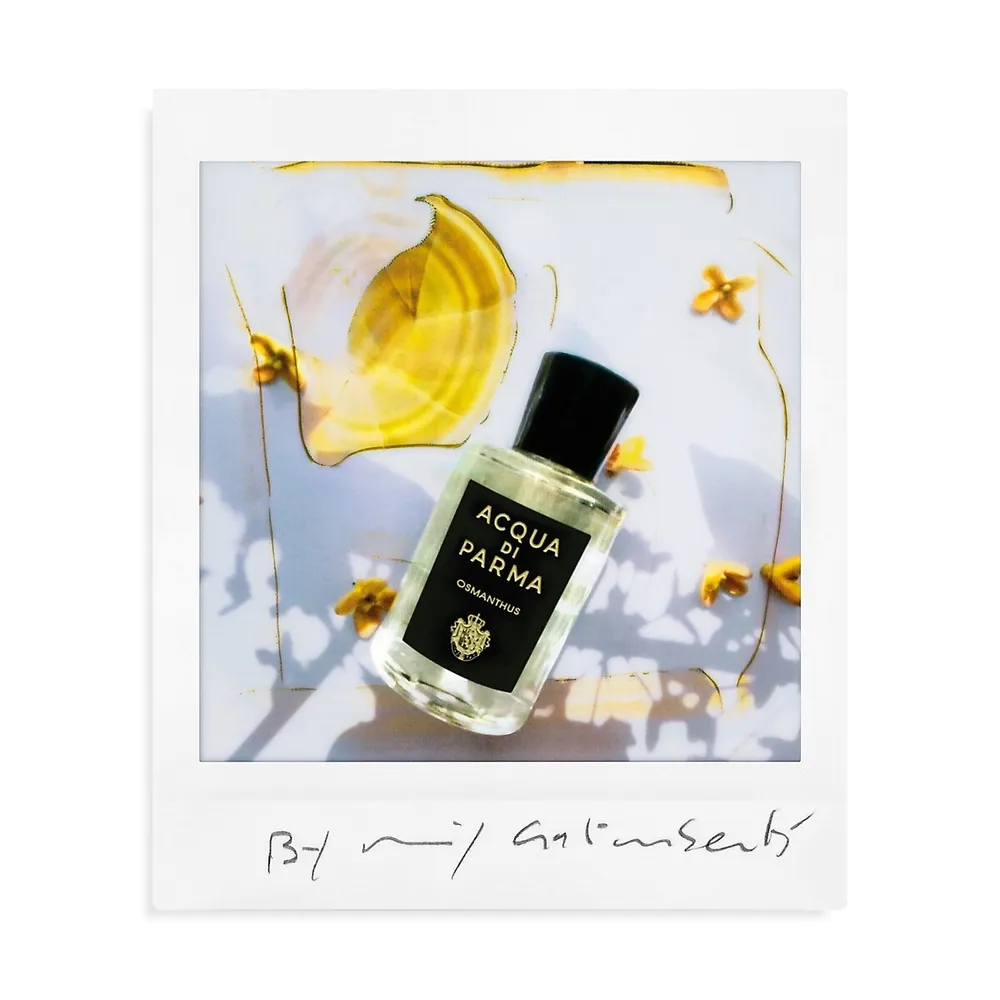 Eau de parfum Signatures of the Sun d'Osmanthus