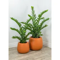 Faux Botanical Zamio In Green 44 In. Height