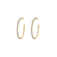 Desideri 14K Gold PVD Stainless Steel & Cubic Zirconia Large Hoop Earrings