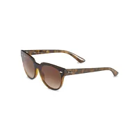 Highstreet Blaze Meteor Square Sunglasses