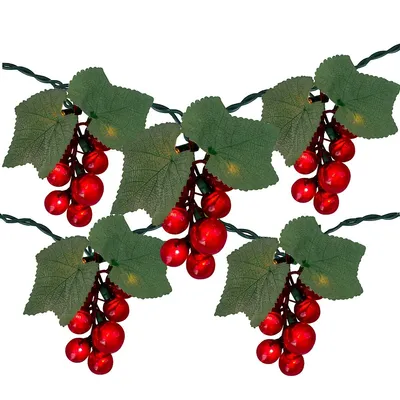 5-count Red Grape Cluster Outdoor Patio String Light Set - 6ft Green Wire