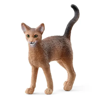 Wild Life: Abyssinian Cat