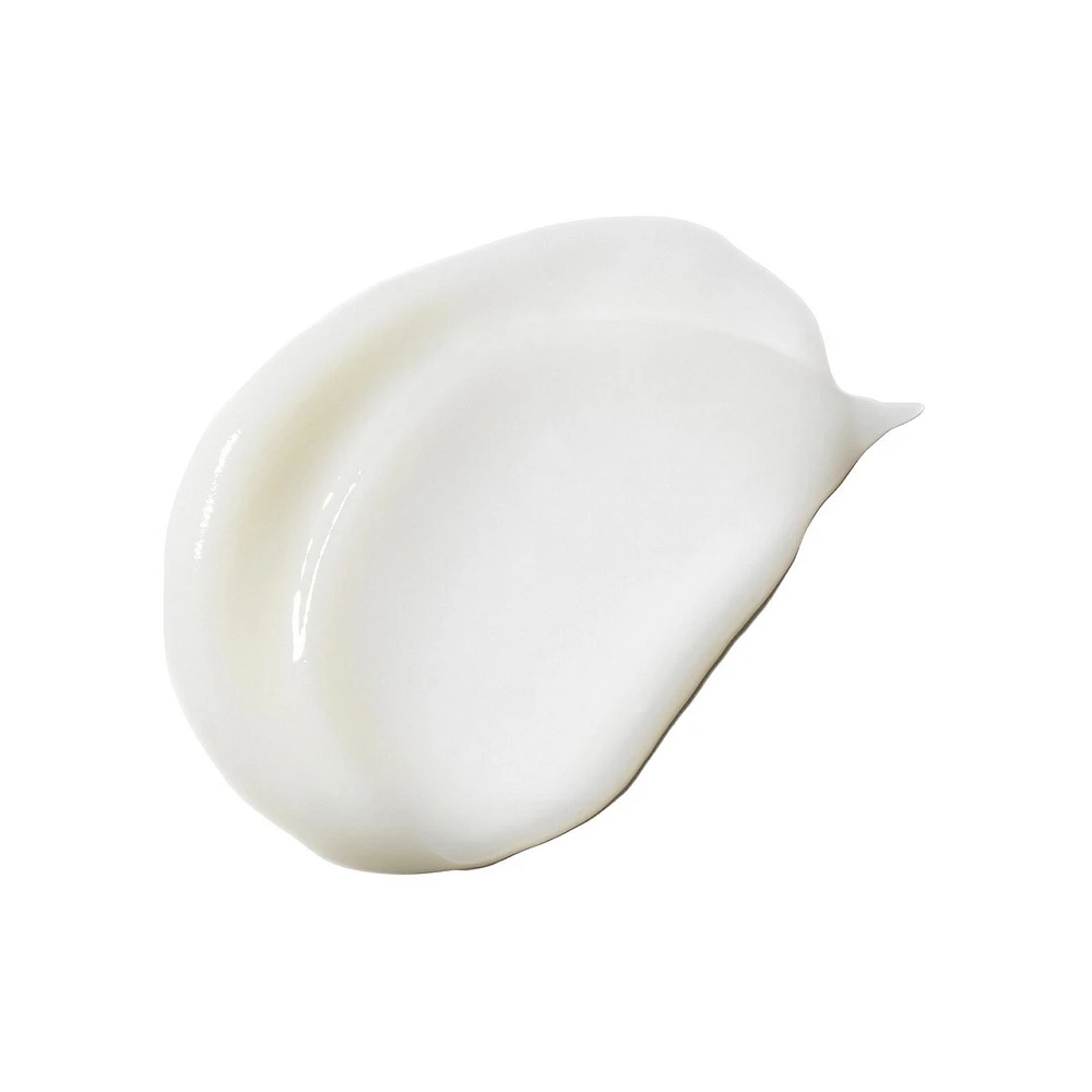 Purifying Leave-In Conditioner