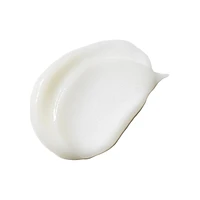 Purifying Leave-In Conditioner