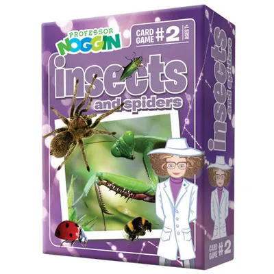 Prof. Noggin Insects And Spiders Game
