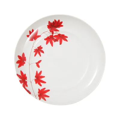 Dinner Plates 28cm Set Of 4 - Fall