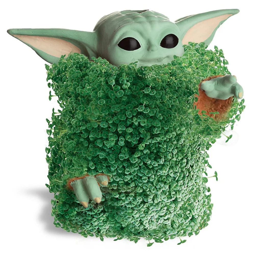 Star Wars The Mandalorian Baby Yoda GROGU aka THE CHILD Chia Pet planter