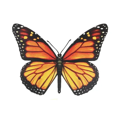 Metal Butterfly Wall Decor Orange Monarch