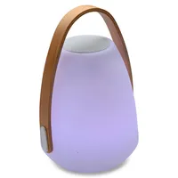 Lanterne haut-parleur à DEL Bluetooth Neptune