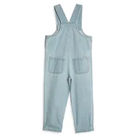 Toddler Boy 12M-6Y Play Denim Overall