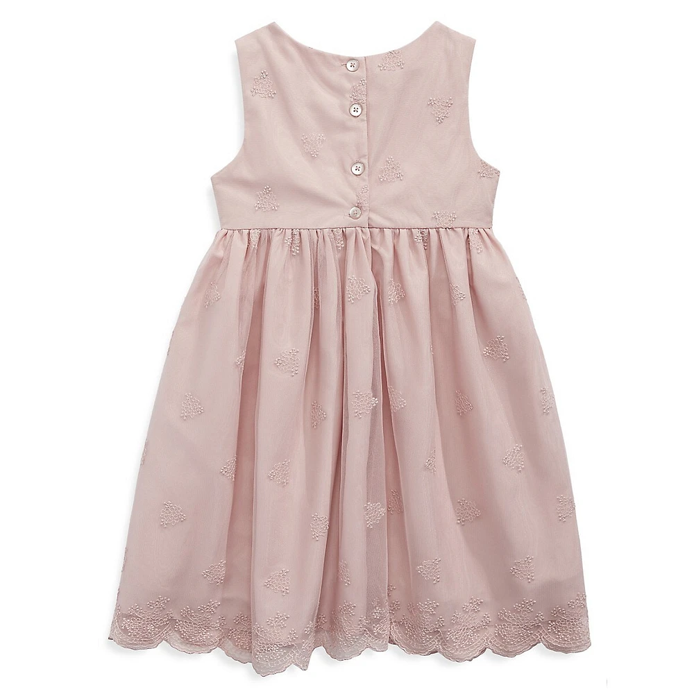 Little Girl's Rose Embroidered Lace & Bow Dress