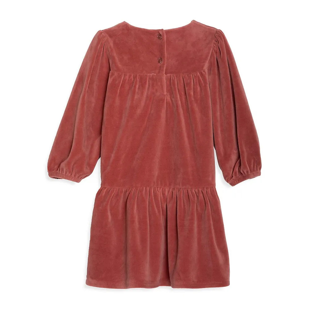 Baby Girl's & Little Party Velvet Dress