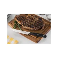 Professional 4-Piece Cutlery Steak Knife Set