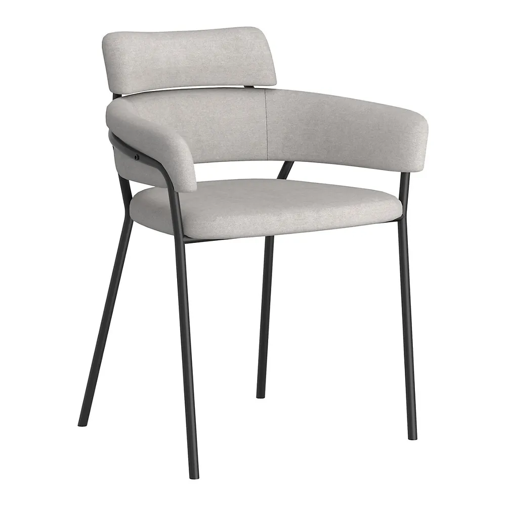 Modern 2-Piece Side Chair Set