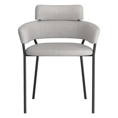Modern 2-Piece Side Chair Set
