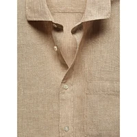 Avispa Classic-Fit Linen Shirt