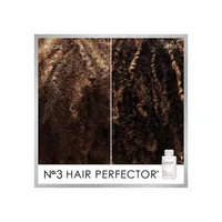 No.3 Hair Perfector Treatment