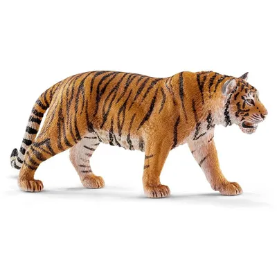 Wild Life: Tiger