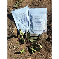 Regenerating Exfoliator & Resurfacing Mask