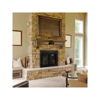 Alpine Medium Cabinet-Style Clear Tempered-Glass Fireplace Doors