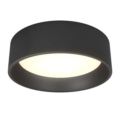 Alton Modern Flush Mount Ceiling Light Fixture, Black